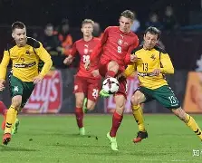 包含欧预赛比赛黑马崛起实力强队步步紧逼的词条